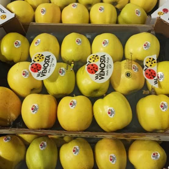 منتجات غذائية